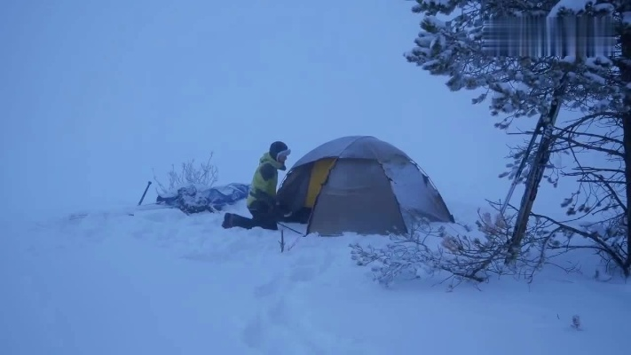 失联诺奖得主深山露营奇遇：大雪封山，揭秘神秘探险之旅