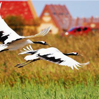 《三角洲行动》更新谨慎升级，玩家期待新策略解析