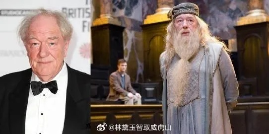 《哈利波特》真人剧版邓布利多首映揭秘：独家探秘魔法世界新篇章