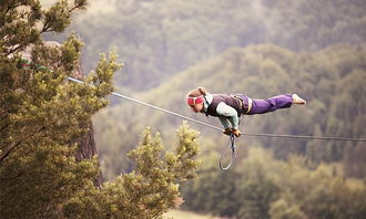 高空极限挑战悲剧：35岁教练坠亡，46岁学员树上惊险获救