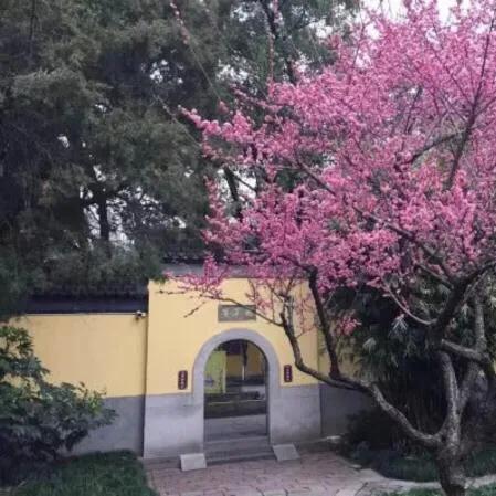 上海体彩701万大奖倒数1天兑奖，得主成谜，速来揭晓！