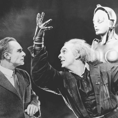 《好莱坞动物》全新升级！探索动物世界新规则，策略竞技再升级