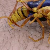 《蜘蛛侠4》独家揭秘：经典反派蝎子回归，全新动作场面震撼来袭