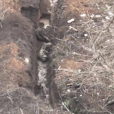 《战地6》在线峰值突破74万！好评如潮，体验极致战场魅力