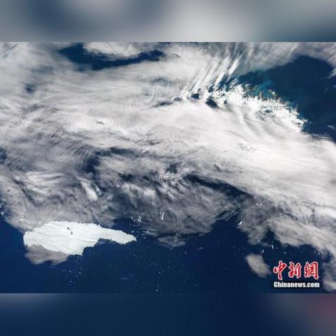 冰山加速解体危机！11月底前能否挺住？揭秘生存挑战