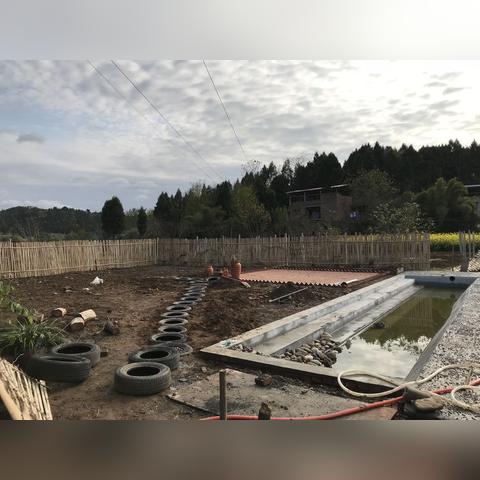 桌面花园新游试玩版震撼上线，体验温馨园艺乐趣！