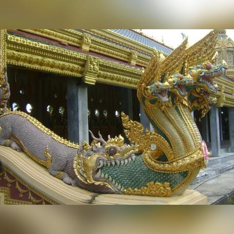 《新实机来了！印度魂大作闪避新姿势，摸头之外更有惊喜体验》