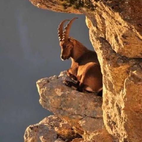 羊蹄山探险新体验：攀爬自由，挑战极限乐趣