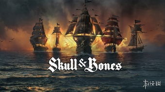 宝可梦第十代大揭秘：探索开放世界未来蓝图