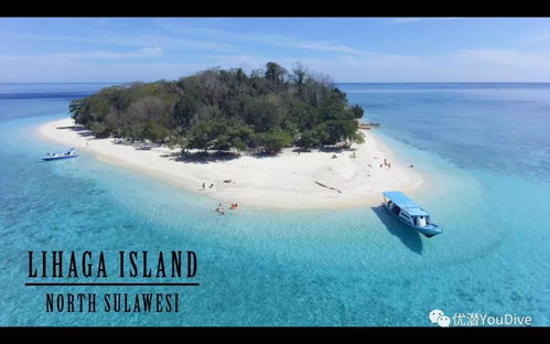 《星砂岛》试玩体验：治愈系海岛种田新体验，探索田园诗意生活