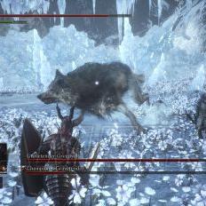 《黑暗之魂》新发现：Boss动作异常，疑似操作失误引发热议