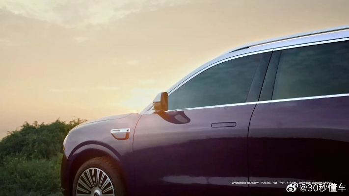 银境紫新配色抢眼！蒋欣成问界M9车主独选，色彩革命来袭