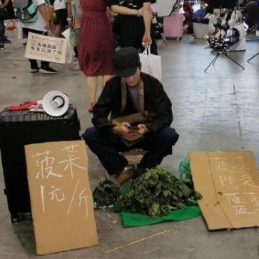 漫展攻略：探索狂野新玩法，解锁独家秘籍！