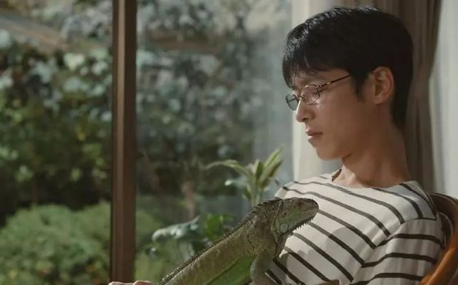 《羊蹄山之魂》演员揭秘：巧妙时间跳跃保境井仁形象无损，剧情升级！