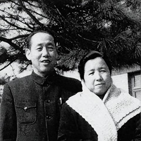 《GTA6》泄密危机！R星绝密隔离评测团，揭秘幕后真相