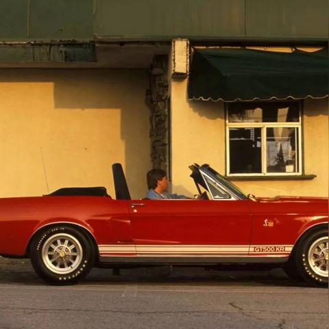 急诊惊魂！老人手提眼镜蛇被咬狂怒，英勇反击现场击毙蛇王