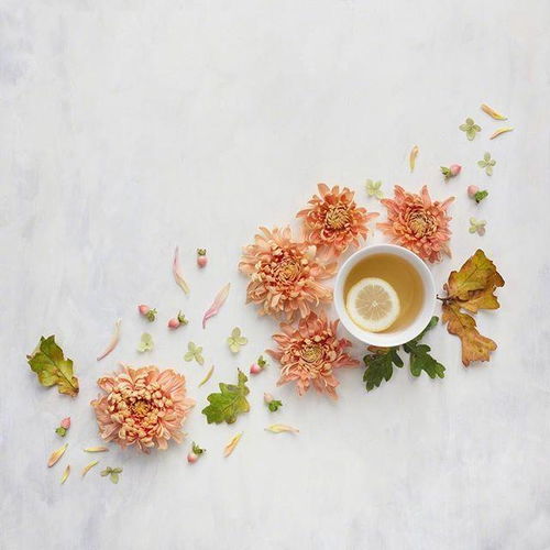 《GTA6》独家揭秘：严守剧透红线，体验“秘密评测营”独特魅力