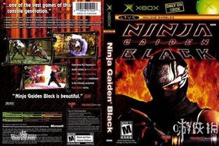 坂垣伴信生平回顾：动作游戏革新者致敬，探寻游戏界传奇魅力