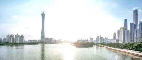 魏建军穿200外套引热议，300元是否超值？揭秘性价比新高度