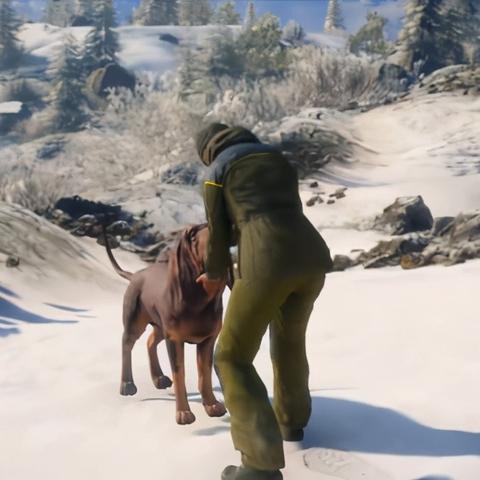 《荒野猎人》新版本本月上线！全面修复确认问题，体验升级新高度