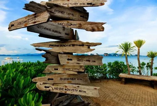 故乡重现，快门捕捉SIGONO新游：体验《快门按下》独特魅力