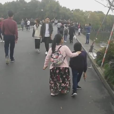 云南丽江袖珍牛成热门宠物，高价收藏只为陪伴！