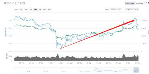 加密货币暴跌！24小时28万玩家爆仓，揭秘市场新规则