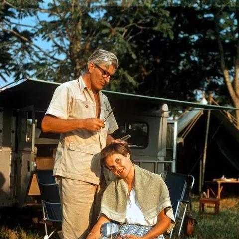 《战地6》好评骤降！揭秘46%玩家真实心声，体验大揭秘！