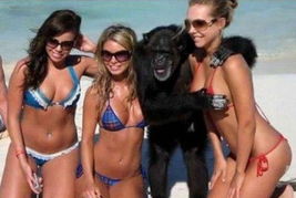 数码宝贝性感大雷双美女兽雕像惊艳亮相，独家首发仅售566美元！