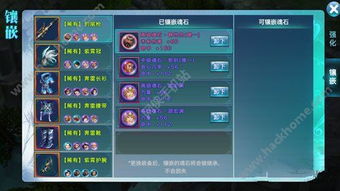 绝区零柏妮思阵容搭配技巧，打造最强战力攻略揭秘