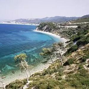 绝区零凯撒音擎攻略：如何精准挑选，解锁最强音效体验