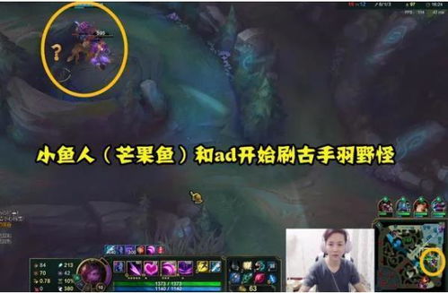 《中国式氪金：玩家笑疯的网游揭秘》