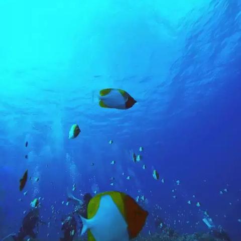 舒舒服服小岛时光成就攻略：解锁全成就秘籍大揭秘