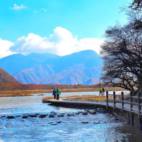 《独家揭秘：游戏内隐藏秘籍，轻松提升战力！》
《解锁游戏新境界，这些技巧让你一骑绝尘！》
《游戏达人必看！高效升级攻略，助你成为最强玩家！》
《揭秘游戏高手秘籍，快速掌握，战力飙升！》
《告别新手困境，这些技巧让你成为游戏高手！》