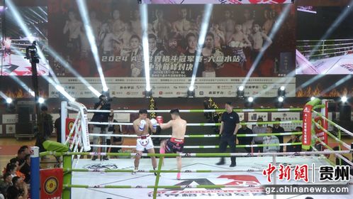 UFC5强档攻略：终极格斗冠军赛5技巧揭秘，助你一跃成为格斗高手