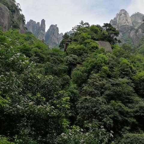 咸鱼之王爬塔阵容攻略：揭秘最强阵容搭配技巧，助你轻松登顶！