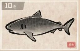 海鳝捕捉技巧揭秘：戴夫潜水员独家攻略分享