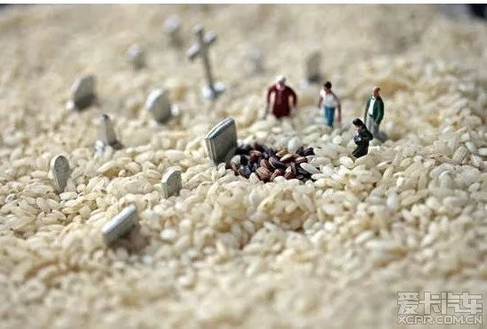 《粒粒小人国》首曝震撼来袭！无限世界放大，烦恼消散无踪