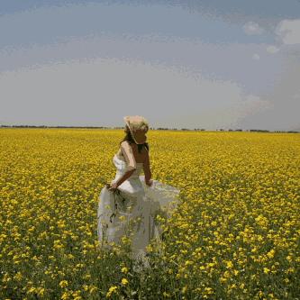 《再刷一把》2风车村金色传说攻略：高效通关技巧揭秘