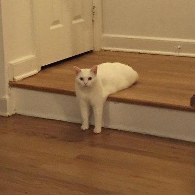 《揭秘游戏攻略：新手必看，快速提升技巧！》
《独家攻略！轻松掌握游戏高阶玩法》
《新手玩家福利：高效升级攻略大放送》
《游戏达人教你：如何快速成为高手》
《一招制胜！破解游戏难题的秘诀》