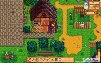 星露谷物语必备！解锁小鸡代码秘籍大全攻略