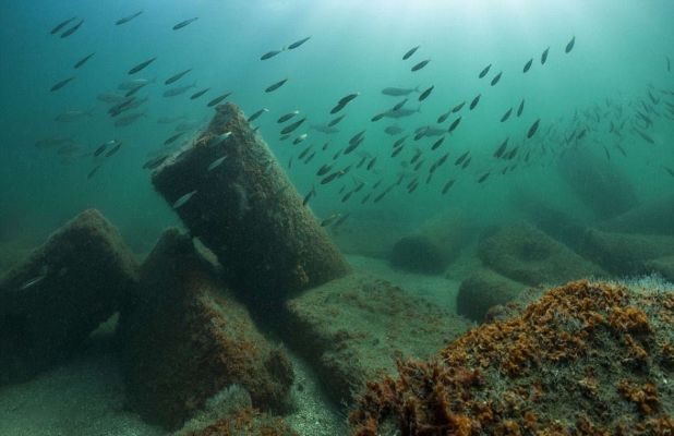 大枫丹湖探秘：揭秘水下珍宝与神秘建筑之谜