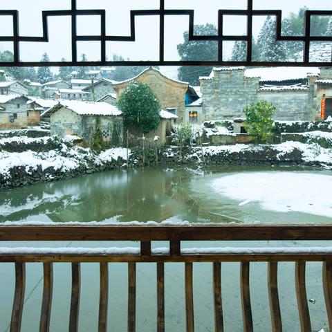 雪景喵趣攻略揭秘：《桃源深处有人家》雪地玩法大揭秘