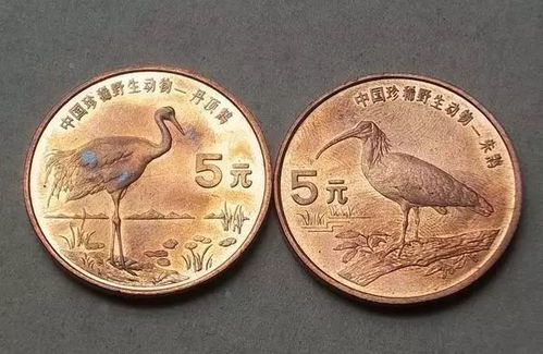 《绝区零》厄匹斯港纪念币攻略：高效收集秘籍大揭秘