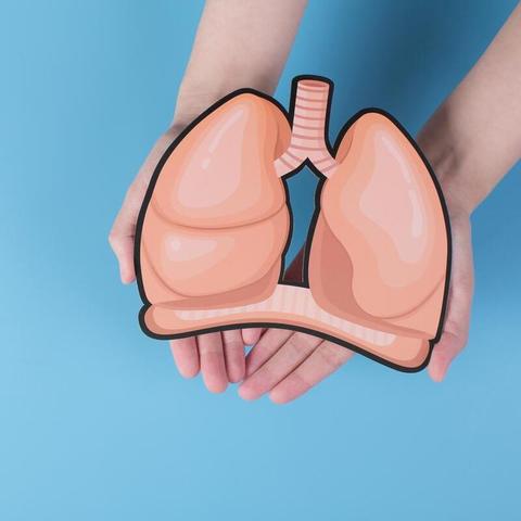 缺氧兑换码攻略：2025年最新大全，解锁游戏新体验