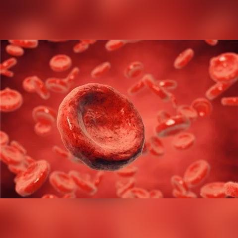 缺氧兑换码攻略：2025年最新大全，解锁游戏新体验