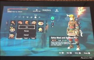 剑之试炼高阶第三层通关秘籍：荒野之息剑法攻略全解析