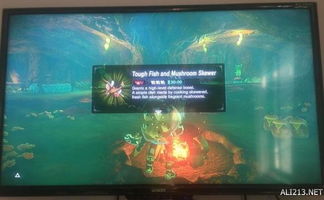 剑之试炼高阶第三层通关秘籍：荒野之息剑法攻略全解析