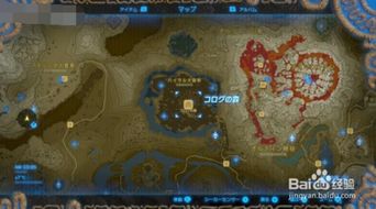 轻松解锁！塞尔达传说荒野之息剑之试炼第12层通关秘籍大揭秘