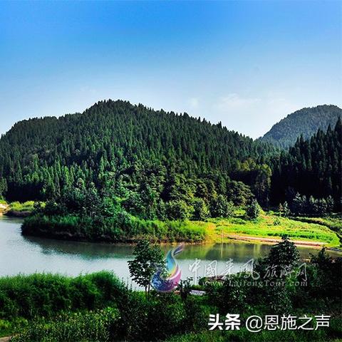 生化4重制版湖中大鱼攻略：高效Boss战技巧解析，轻松通关！